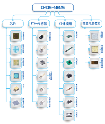 厦门造“中国芯” 技术自主与市场突破双轨并行